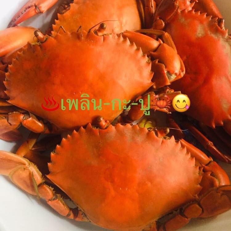 ปูเนื้อปูทะเล เพลิน-กะ-ปู ส่งศรีสะเกษ