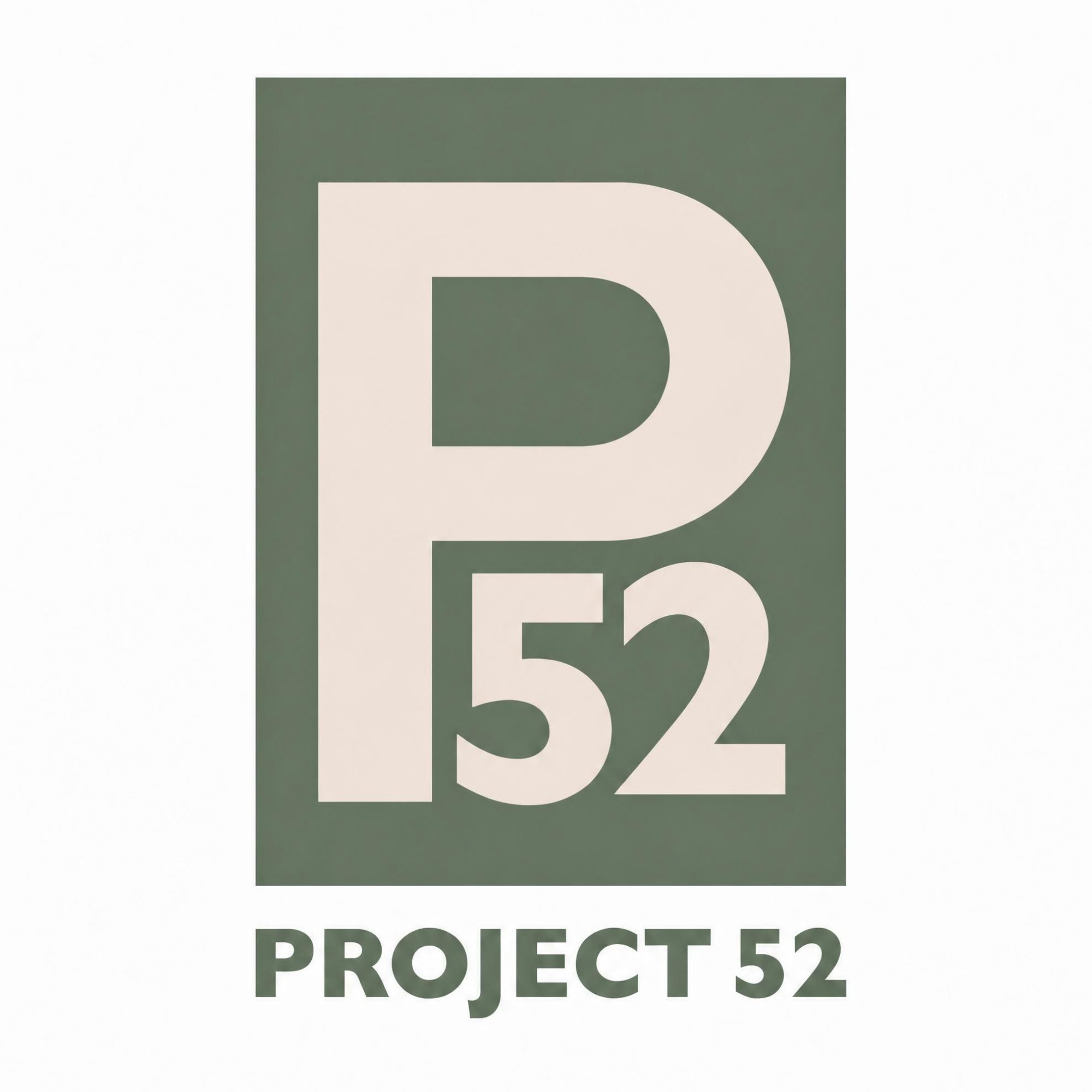 Project 52