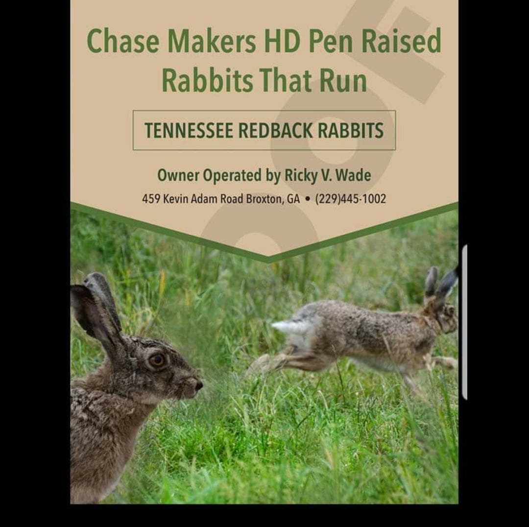 Chase Makers Addiction