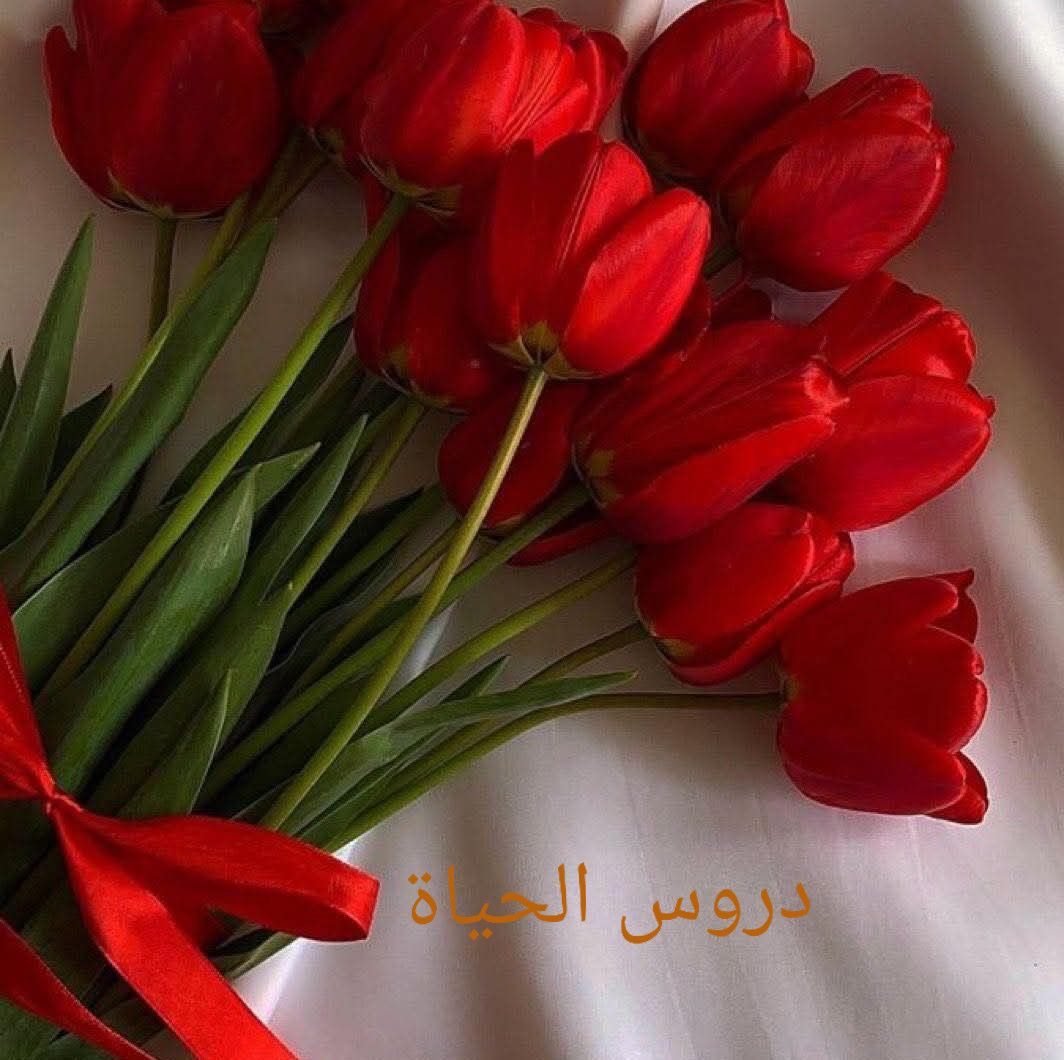 دروس الحياة - الدكتور أيمن سويد .. سأعطيكم طريقة نفعت معي كثيرا وأصبحت ...