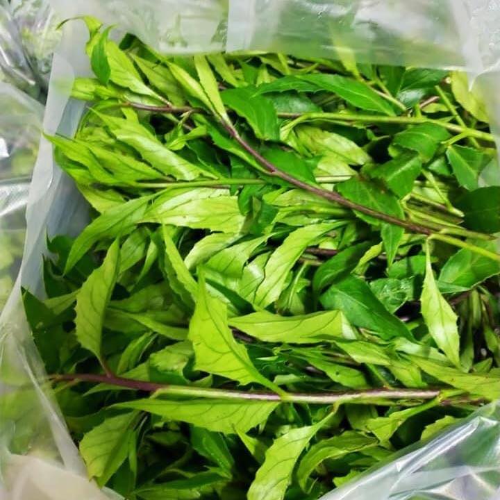 Chuyên cung cấp các loại Rau Rừng | Da Nang