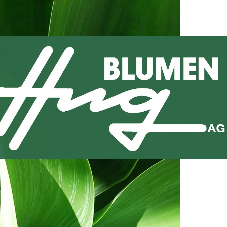 Blumen Hug