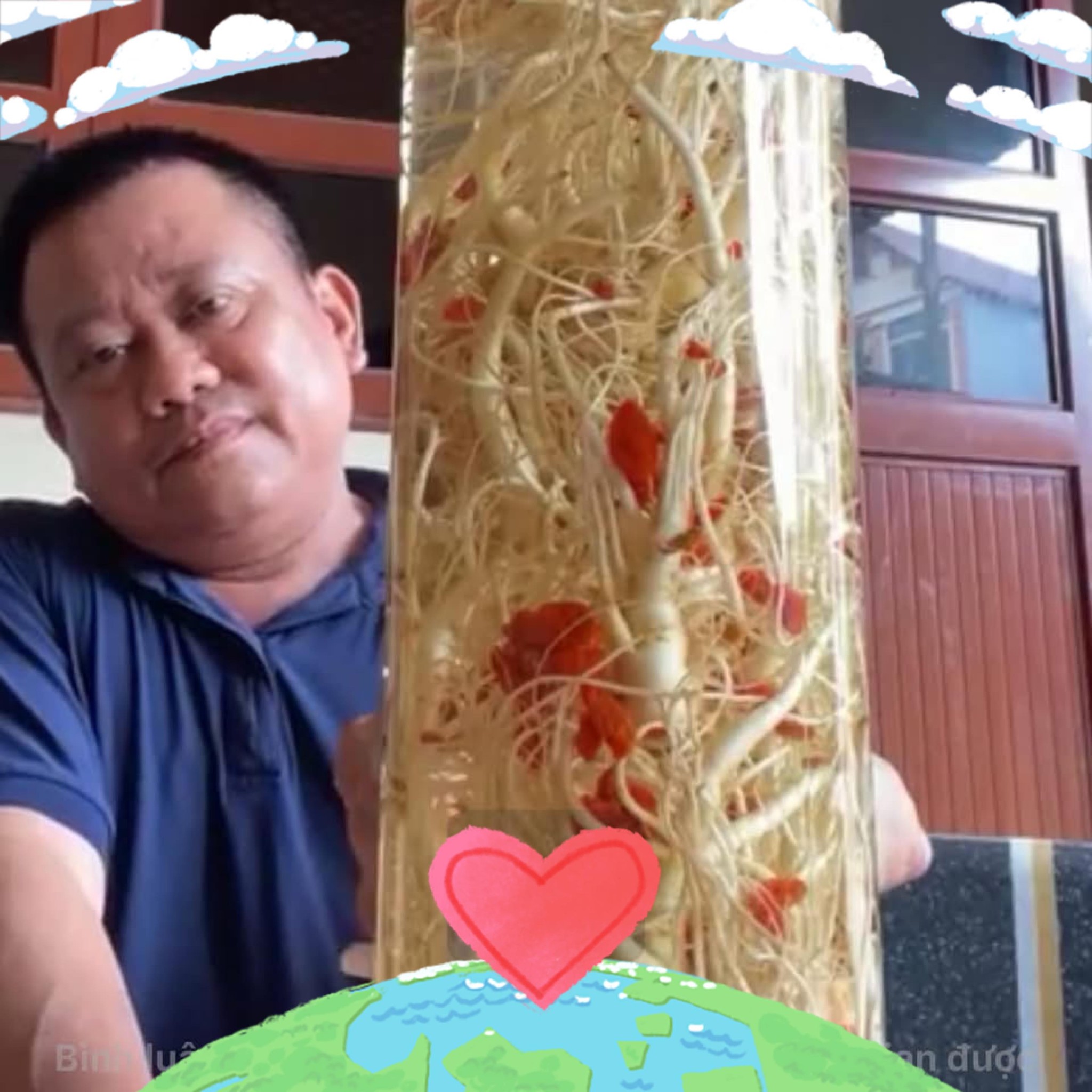1 nhìn là say đắm 2 nhìn là đắm say 3 nhìn là tất tay với em nó đó ạ Em ...