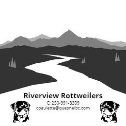 Riverview Rottweilers