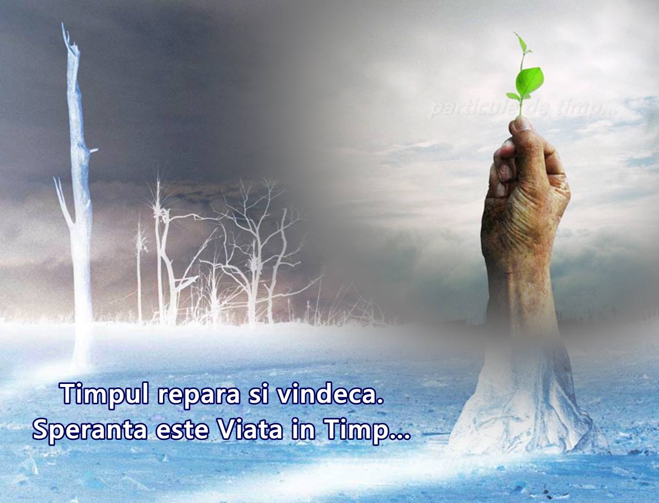 Suntem particule de timp
