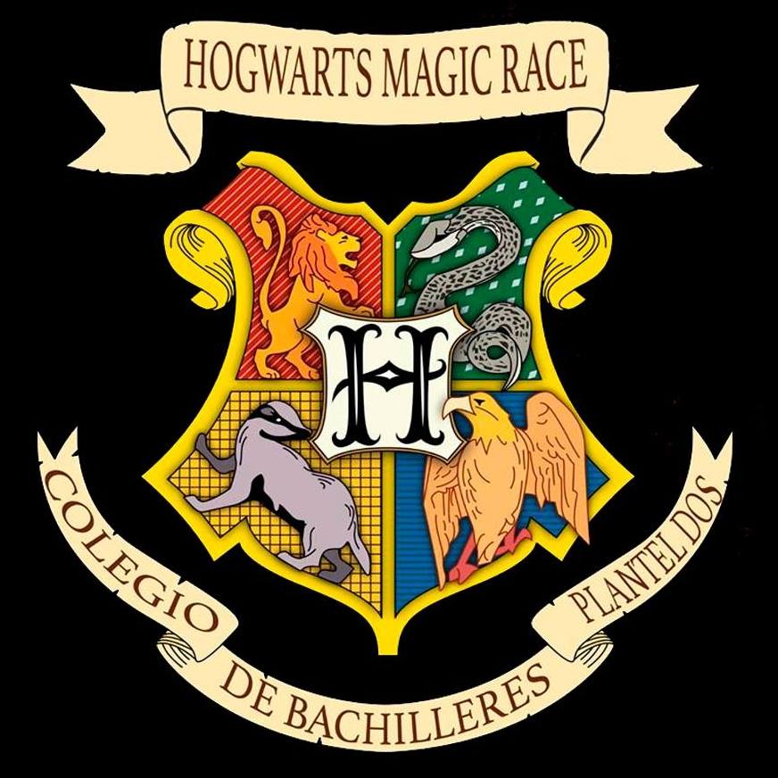 Hogwarts Magic Race