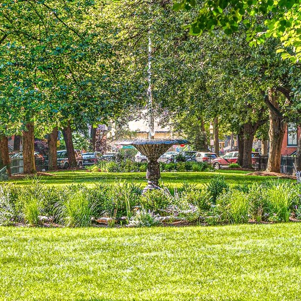 Union Park Neighborhood Association - Boston (UPNA) | Boston MA