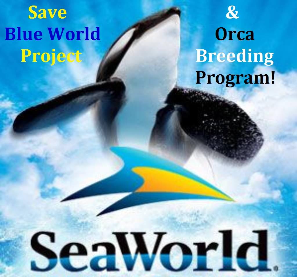 Save Blue World Project & Orca Breeding Program