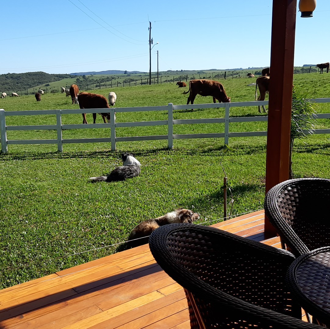 Fazenda MORADA DOS UMBUS | Encruzilhada do Sul RS