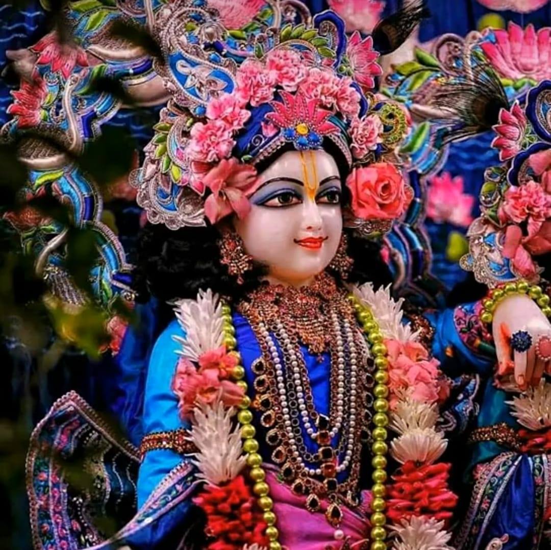 Jay Shri radhe Rani.