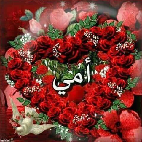 أمي الحبيبة