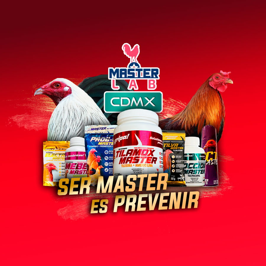 Masterlab CDMX | Mexico City