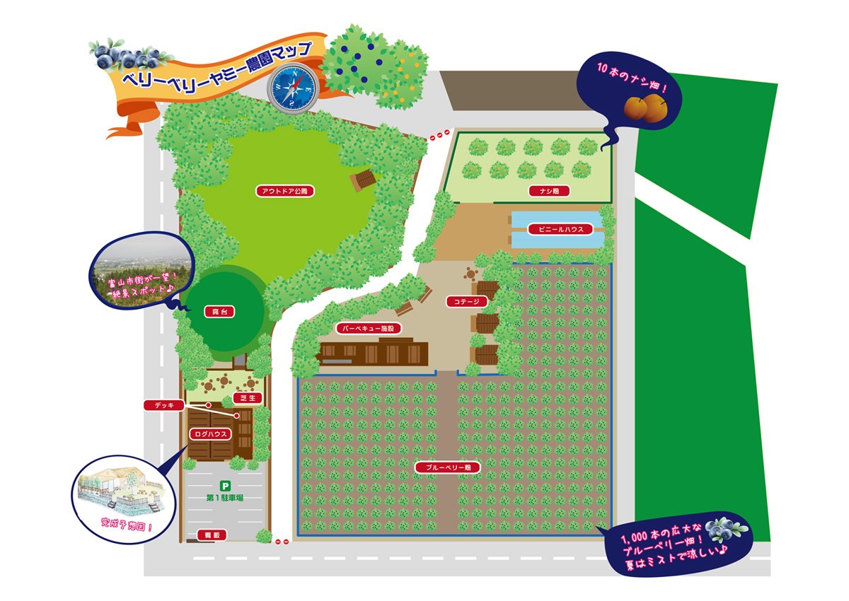 ベリーベリーヤミーの評判と予約攻略｜完熟パフェと混雑状況を徹底検証