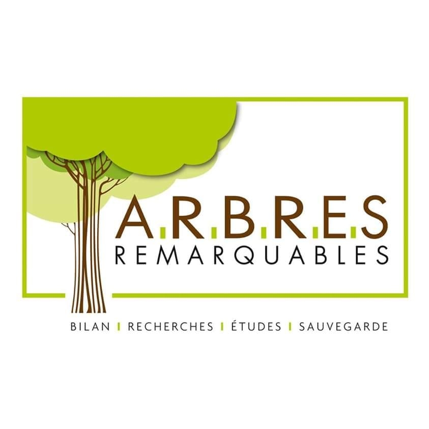L'Arbre de l'Année added a new photo. - L'Arbre de l'Année