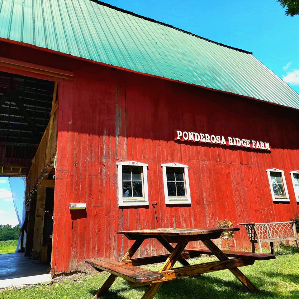 Ponderosa Ridge Farm | Howell MI