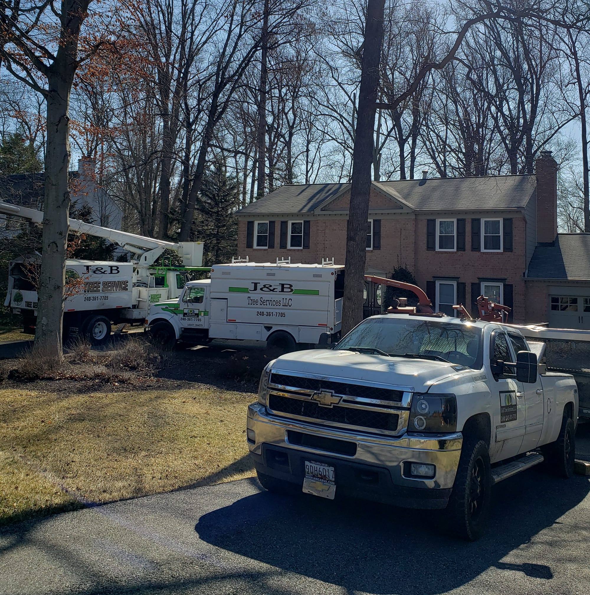 J&b Tree Services..LL