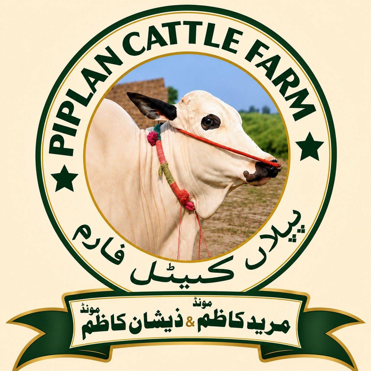 Piplan Cattle Farm Mianwali