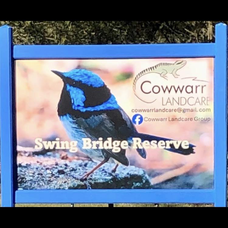 Water springs are running. Cowwarr area | Cowwarr Landcare Group