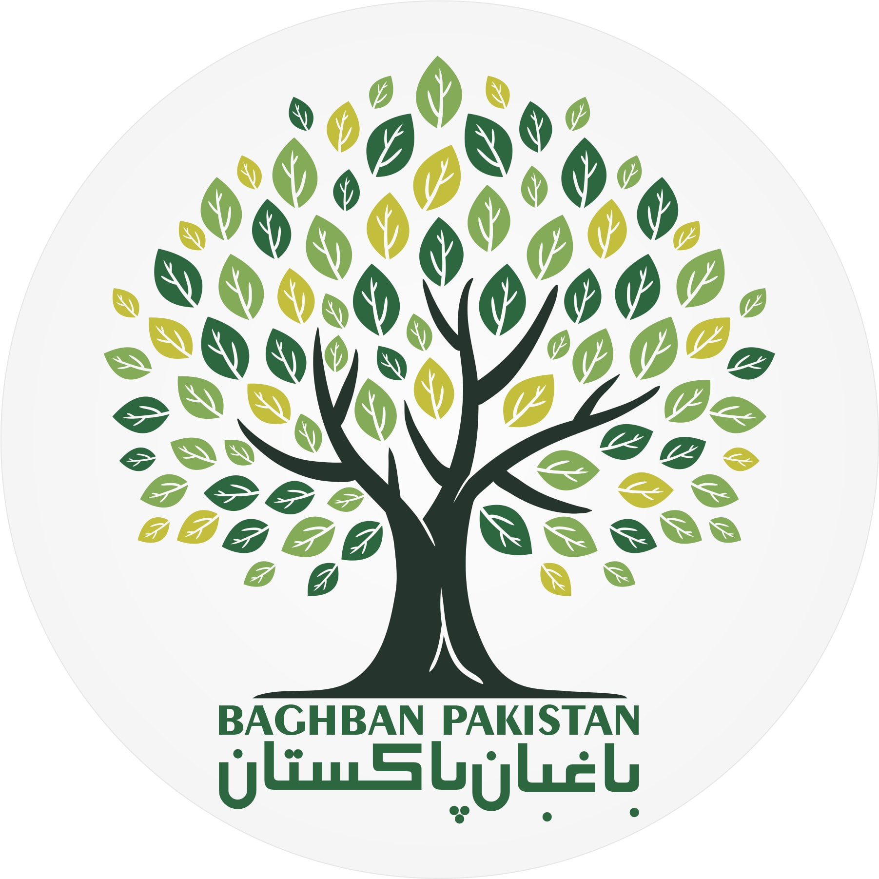 باغبان پاکستان | Pakpattan