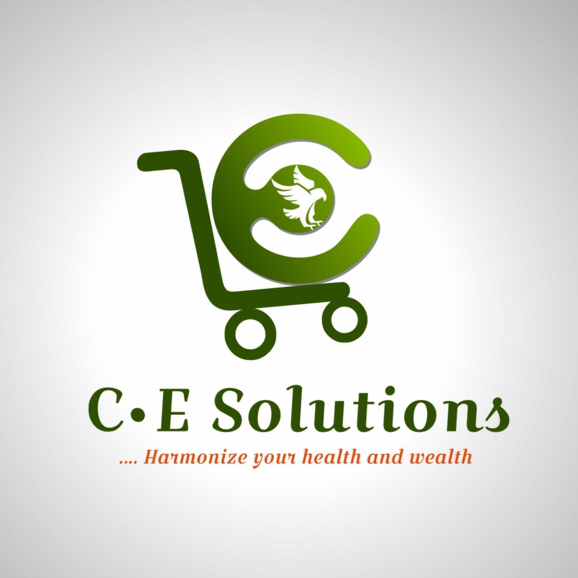 C . E solutions | North Kaneshie
