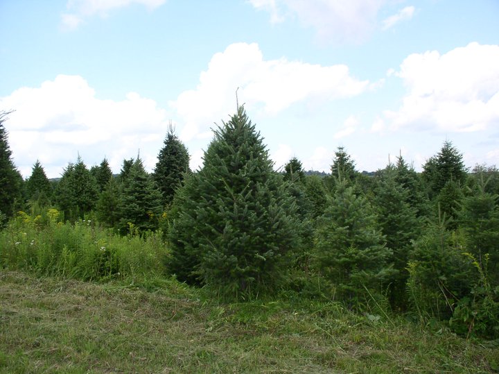 Indian Ridge Farms | Wantage NJ