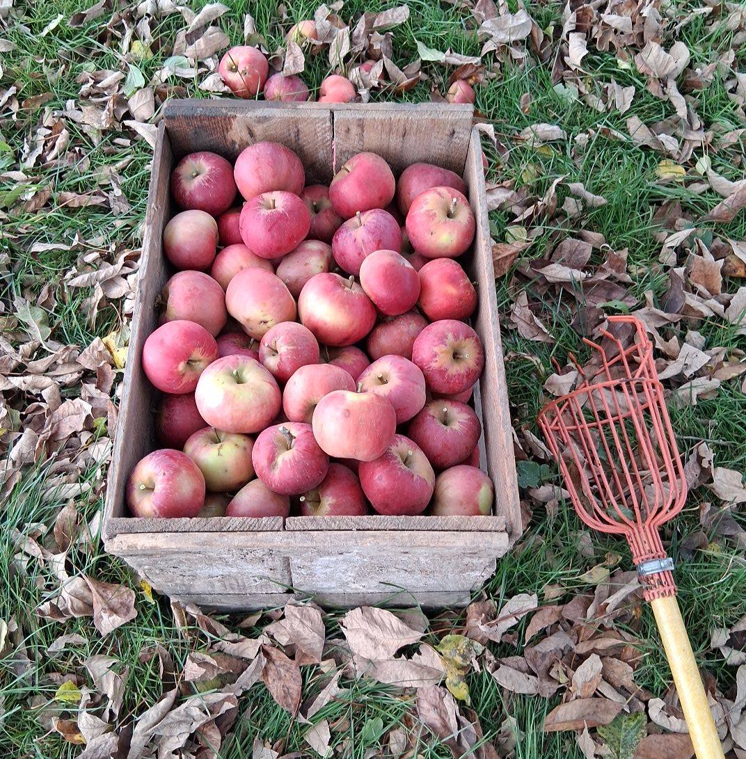 Walnut Ridge Farm | Wilton ME