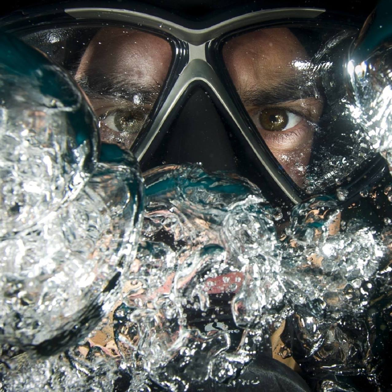 Dive.ly