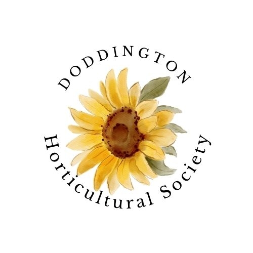 Doddington Village Summer Show | Doddington