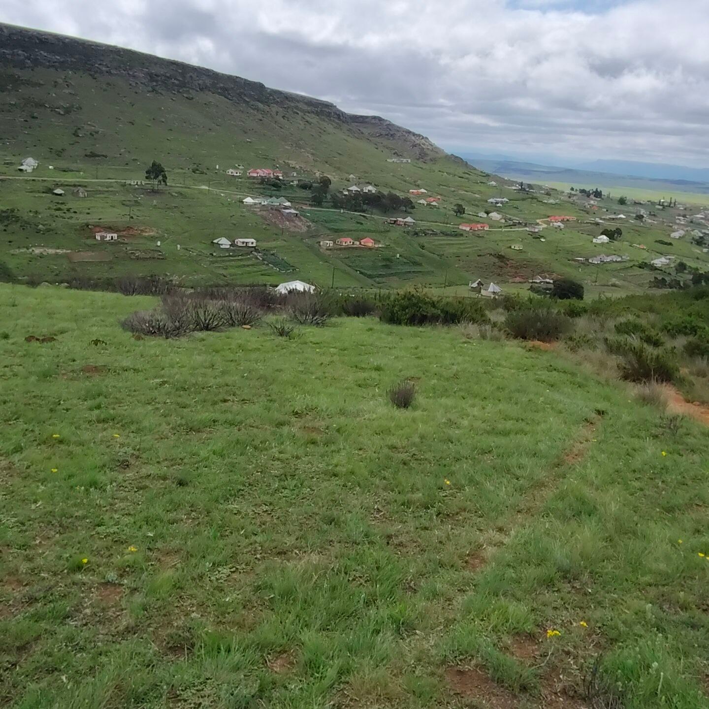 Amabali Ka-Nozulu | Johannesburg