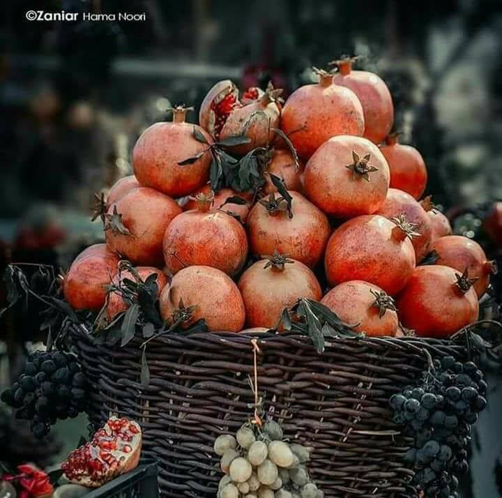نوکتە ـ جوک