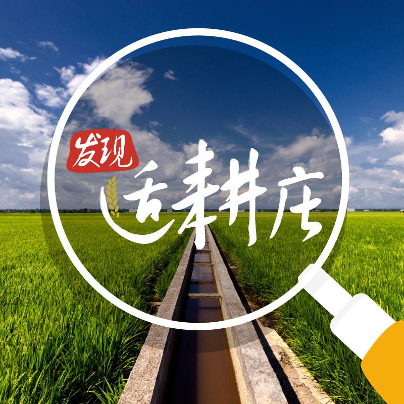 双扬适耕庄民宿 Shuang Yang Sekinchan Homestay | Sekincan