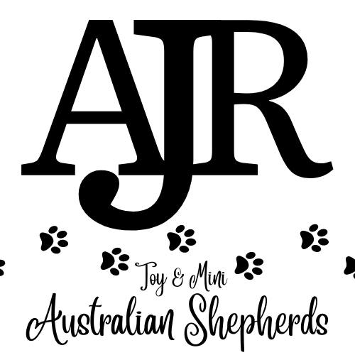 AJ Ranch Australian Shepherds | Rogers TX