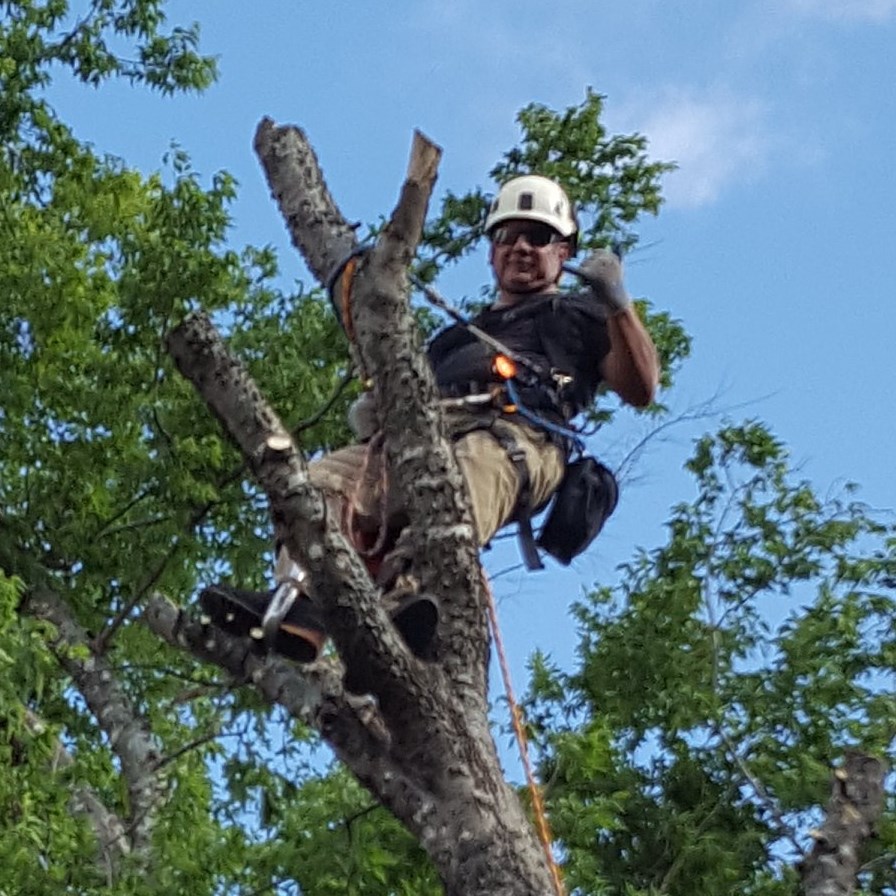 Pride of Texas Tree Service