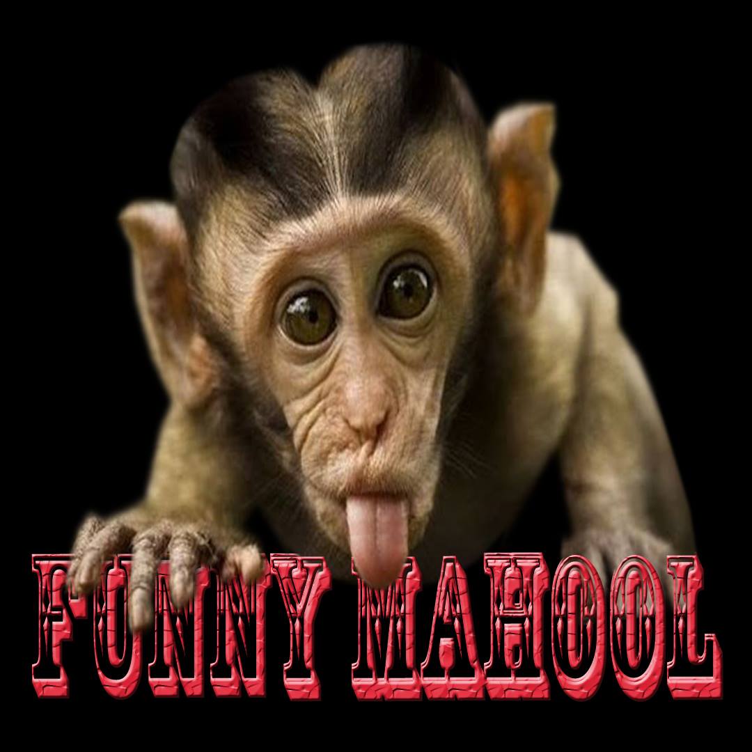Funny Mahool