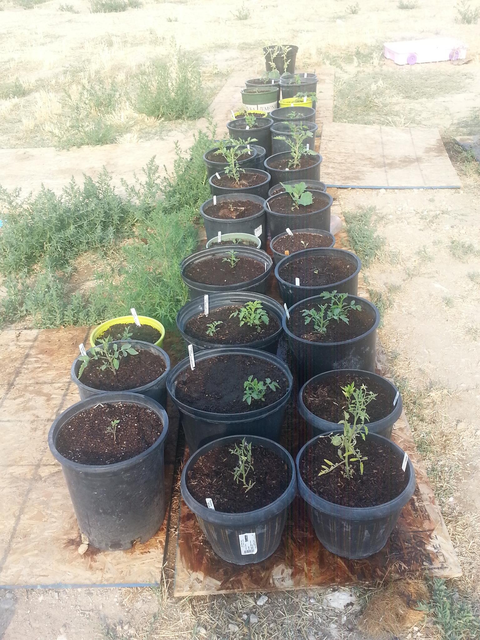 Carter Container Farm | Boise ID