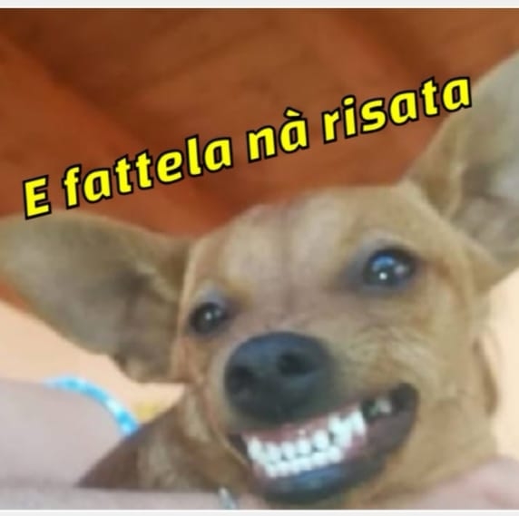 Meme Della Risata Falsa