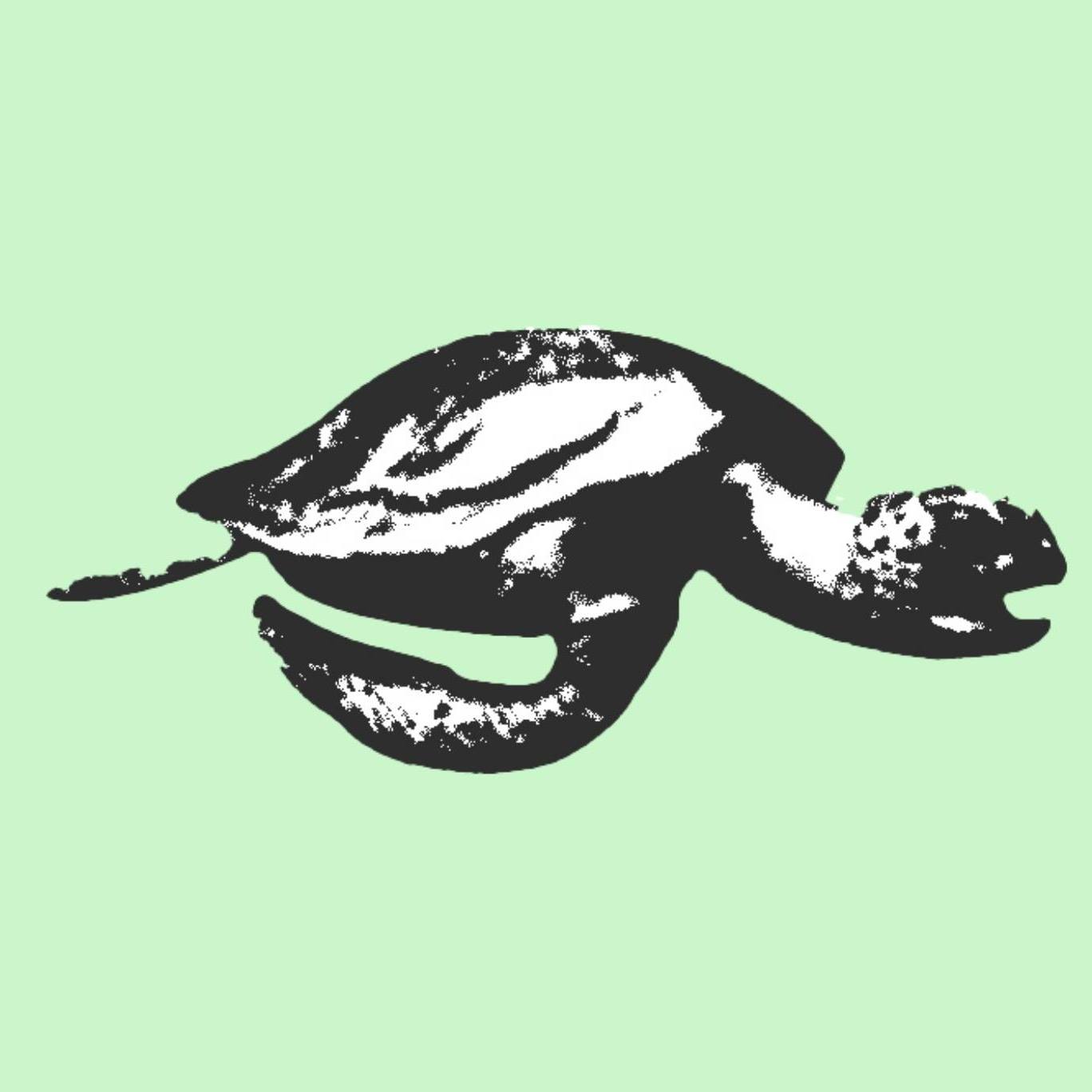Turtle Records