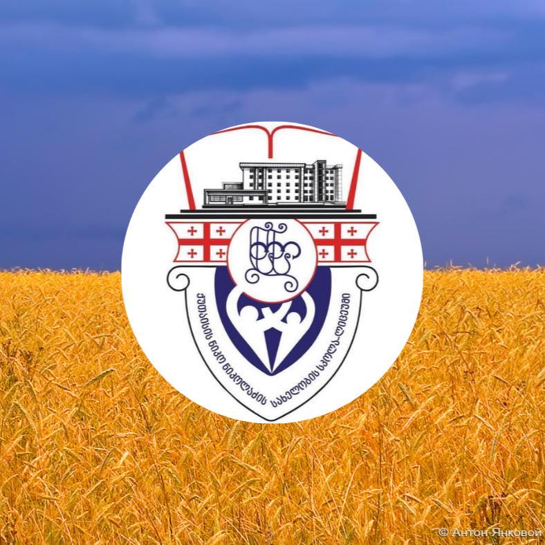 ქ. ქუთაისის ნიკო ნიკოლაძის სახ. სკოლა-ლიცეუმის მოსწავლეთა ...