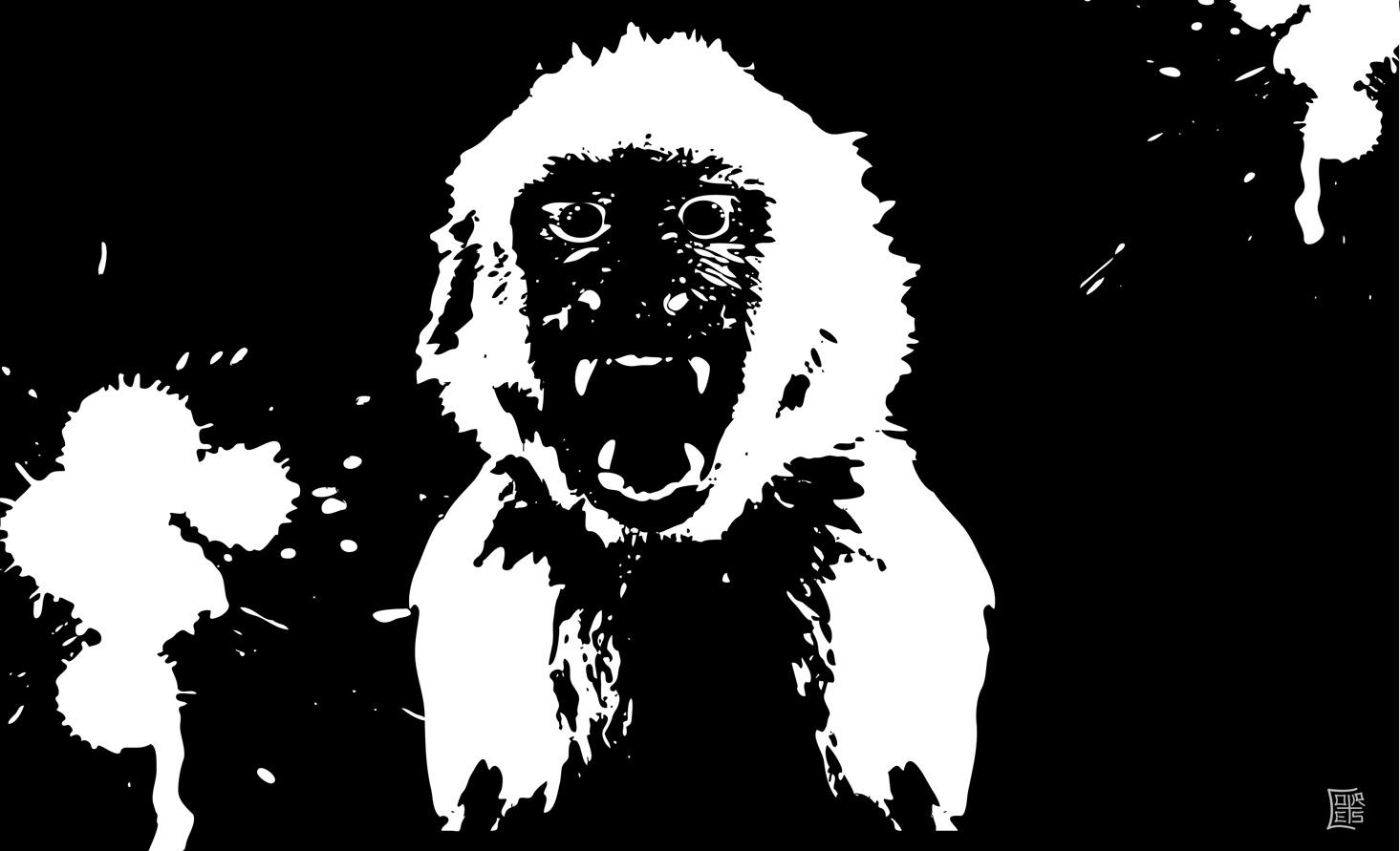 Raging Monkey