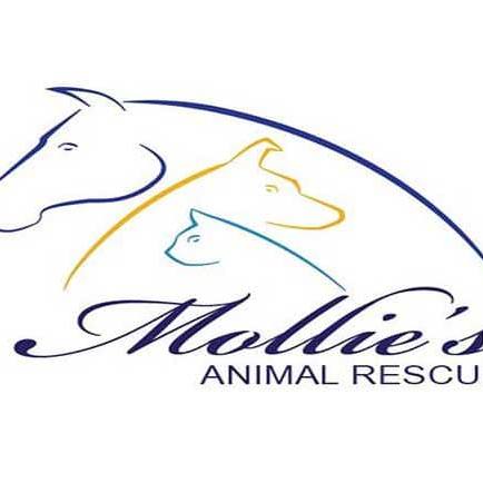 Mollies Animal Rescue