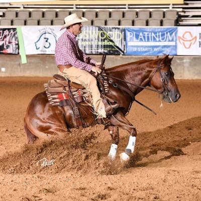 Two years old and just getting started. 🐴🤠 Good horses aren’t made ...