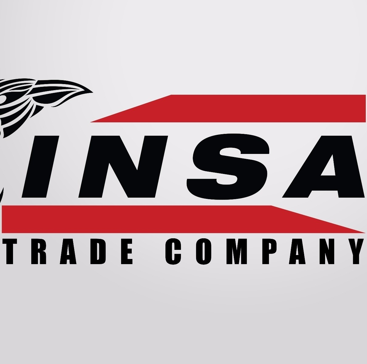 INSA Company شركة انسا