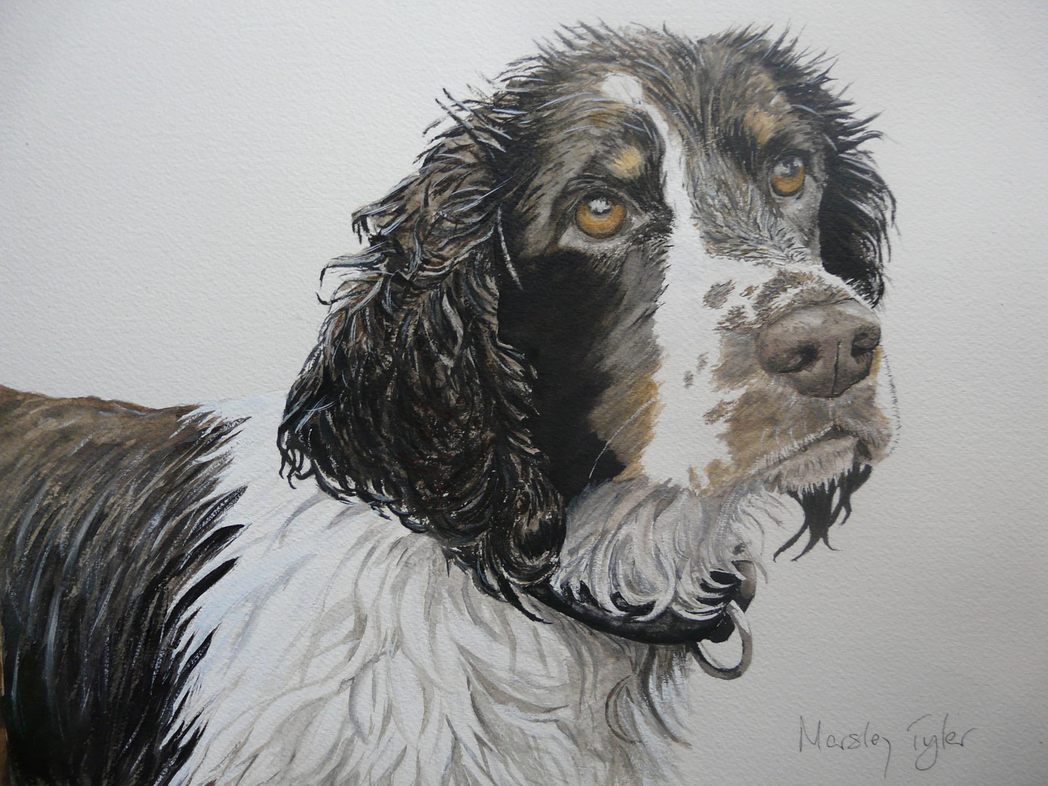 Marsley's Art - These two wee Australian outback rascals are the ...