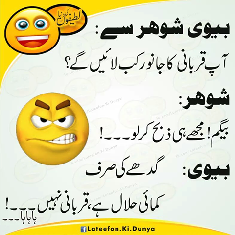 Latefe