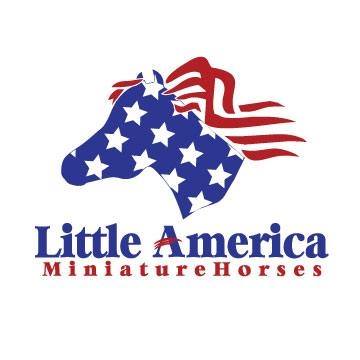 AMHA World Show 2026 Day... - Miniature Horse Farms Directory | Facebook