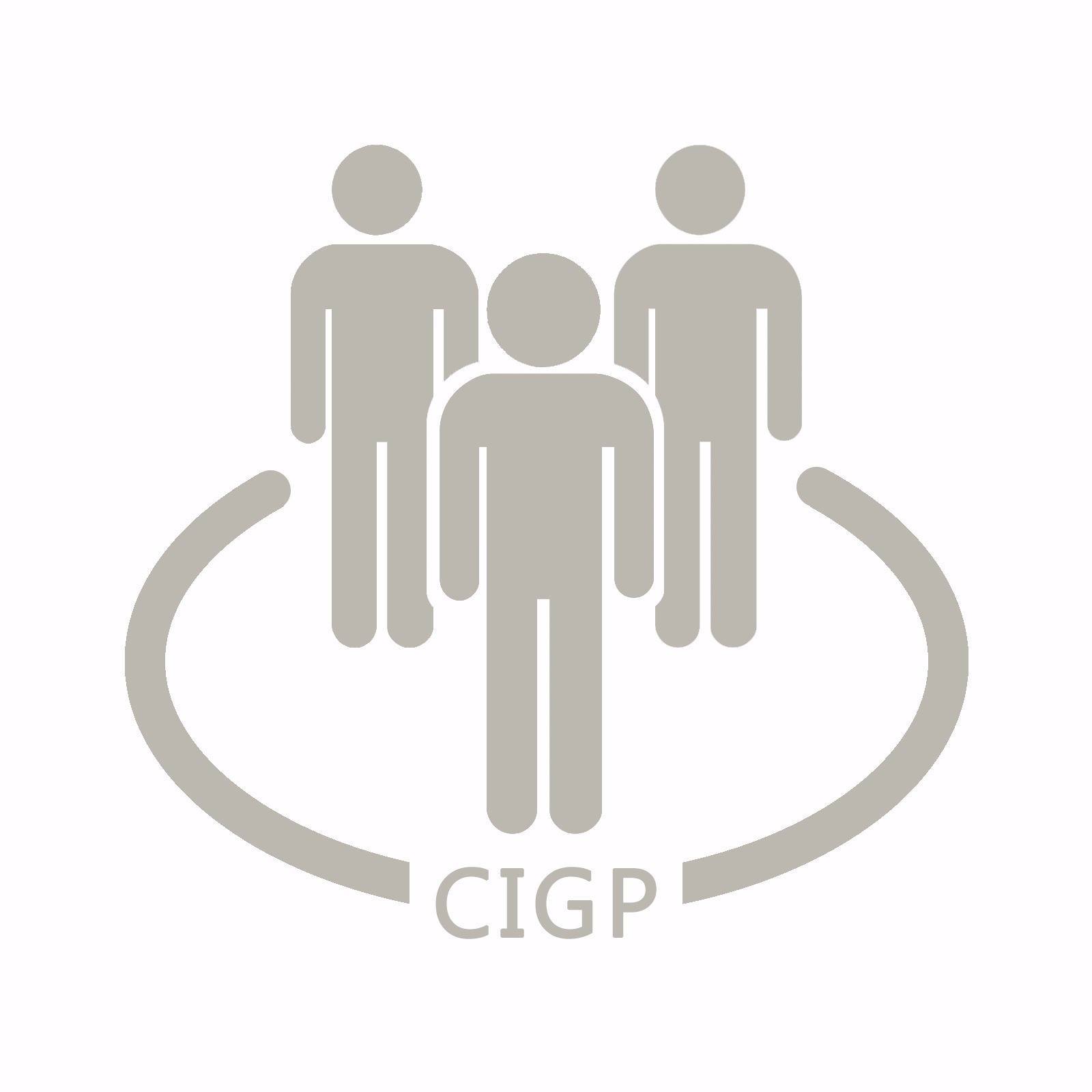 CIGP - Consultora de Imagen y Gestión Política