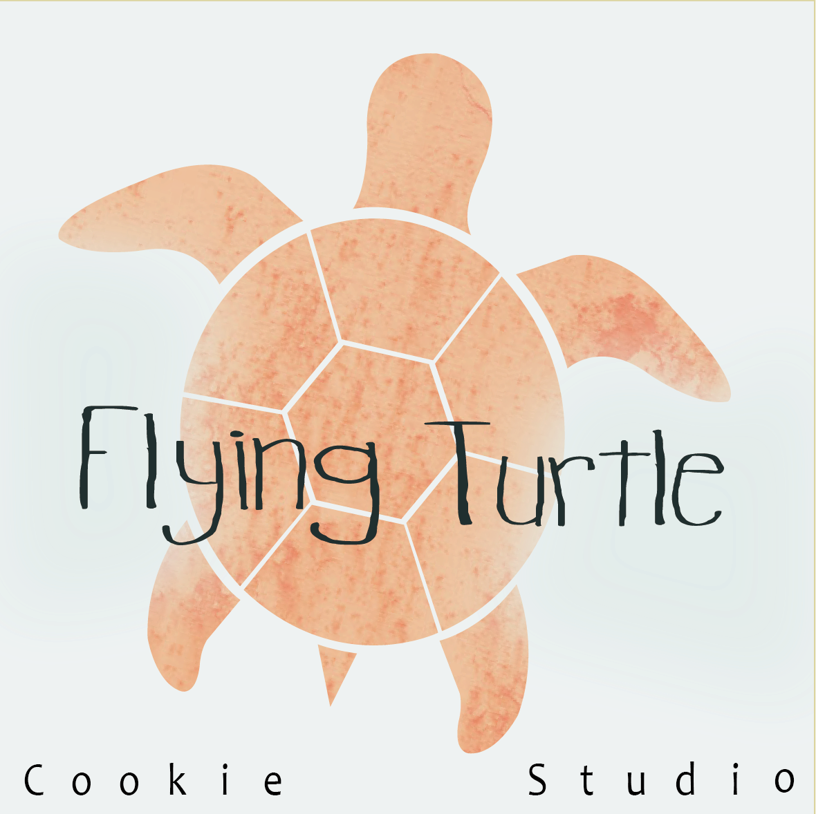 Flying Turtle