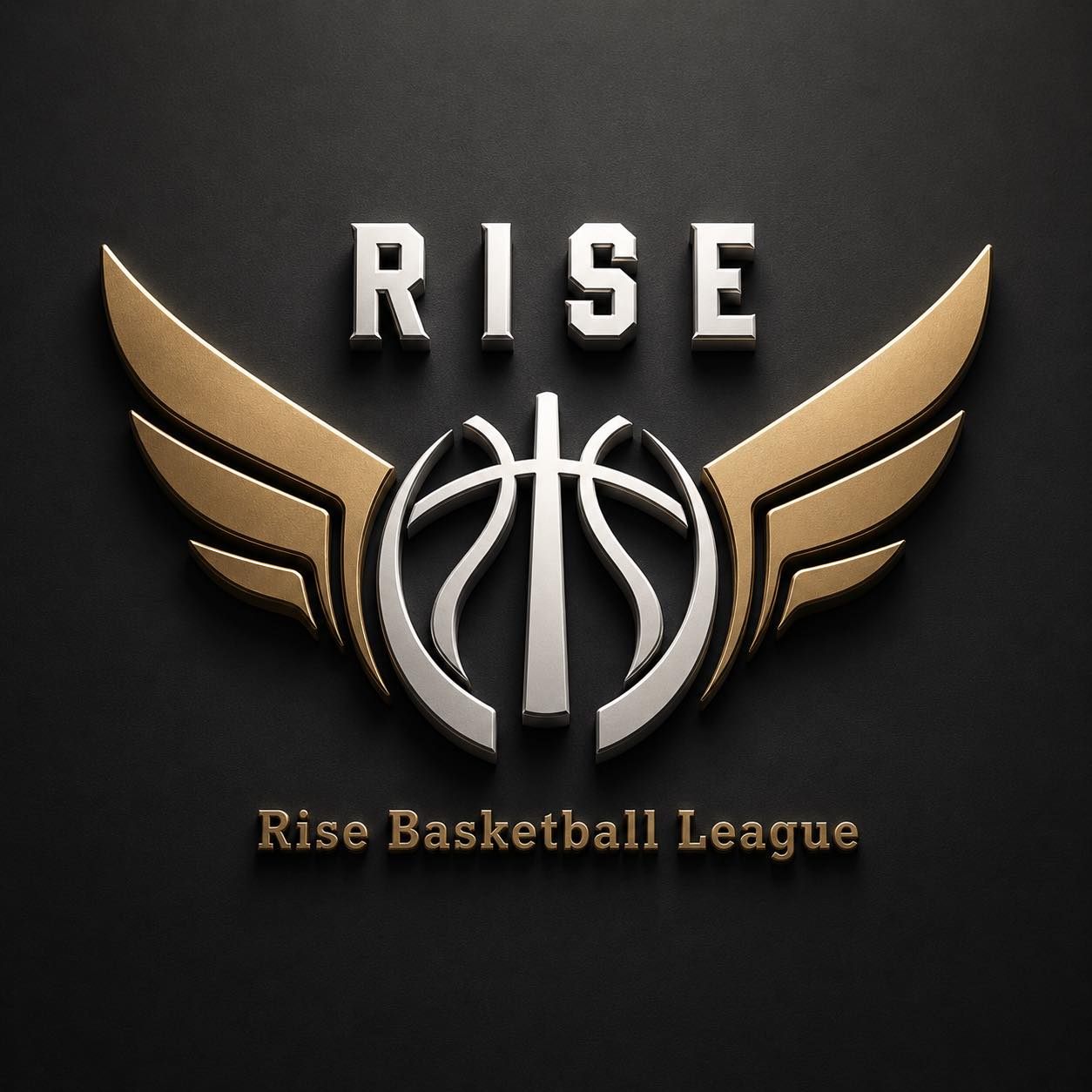 RISE - Rise Basketball League S4 🔥挑戰B組🔥 ⭐️籃板王⭐️ #板凳大聯盟 #28 #盧仁揚 場均10.2 ...
