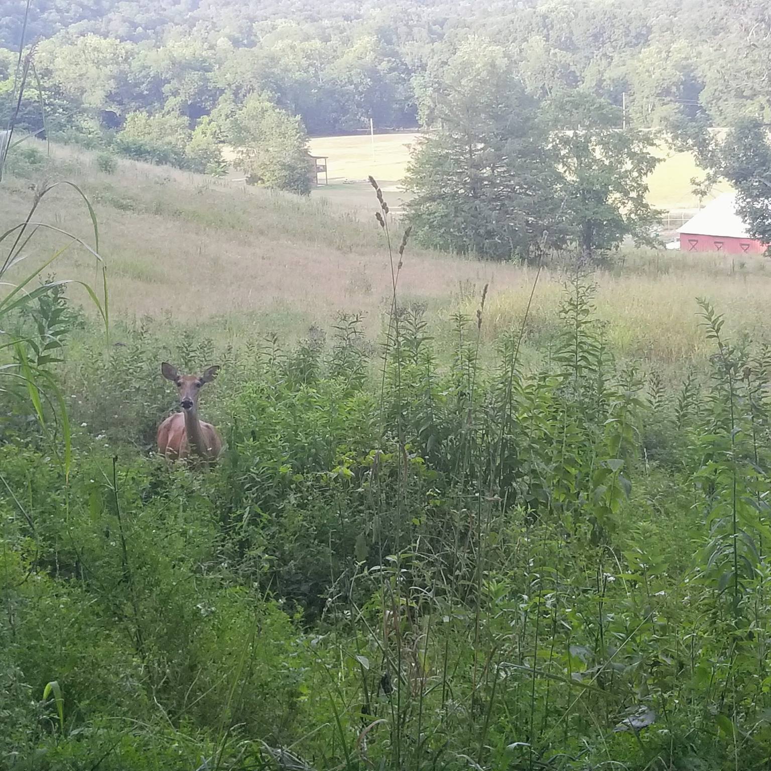 Holy Rock Ranch