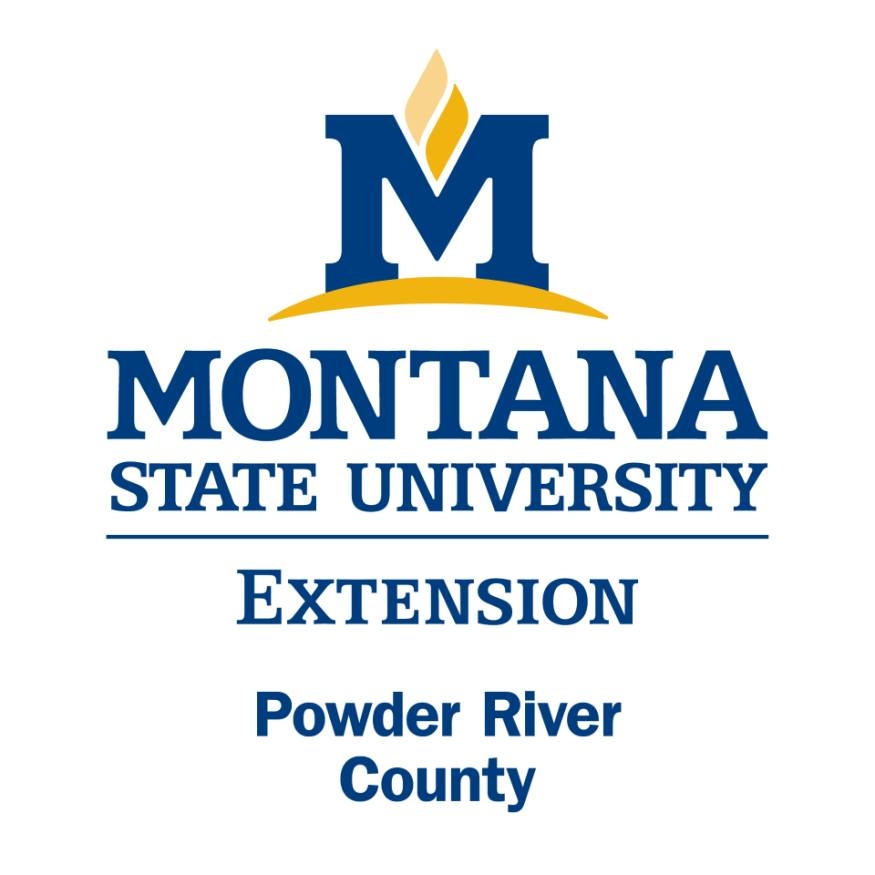 MSU Extension Community Vitality